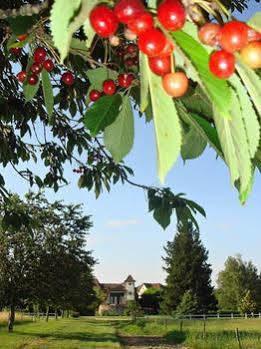 Domaine De Borie Chambres D'Hotes Bretenoux Luaran gambar